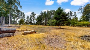 31451 Sherwood Rd, Fort Bragg, CA 95437, USA Photo 73