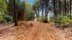 31451 Sherwood Rd, Fort Bragg, CA 95437, USA Photo 31