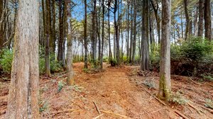 31451 Sherwood Rd, Fort Bragg, CA 95437, USA Photo 30