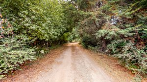 31451 Sherwood Rd, Fort Bragg, CA 95437, USA Photo 42