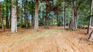 31451 Sherwood Rd, Fort Bragg, CA 95437, USA Photo 33