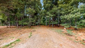 31451 Sherwood Rd, Fort Bragg, CA 95437, USA Photo 28