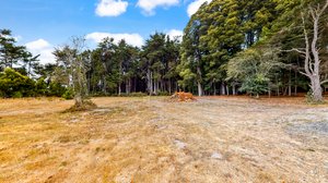 31451 Sherwood Rd, Fort Bragg, CA 95437, USA Photo 37
