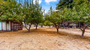 31451 Sherwood Rd, Fort Bragg, CA 95437, USA Photo 50