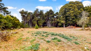31451 Sherwood Rd, Fort Bragg, CA 95437, USA Photo 38