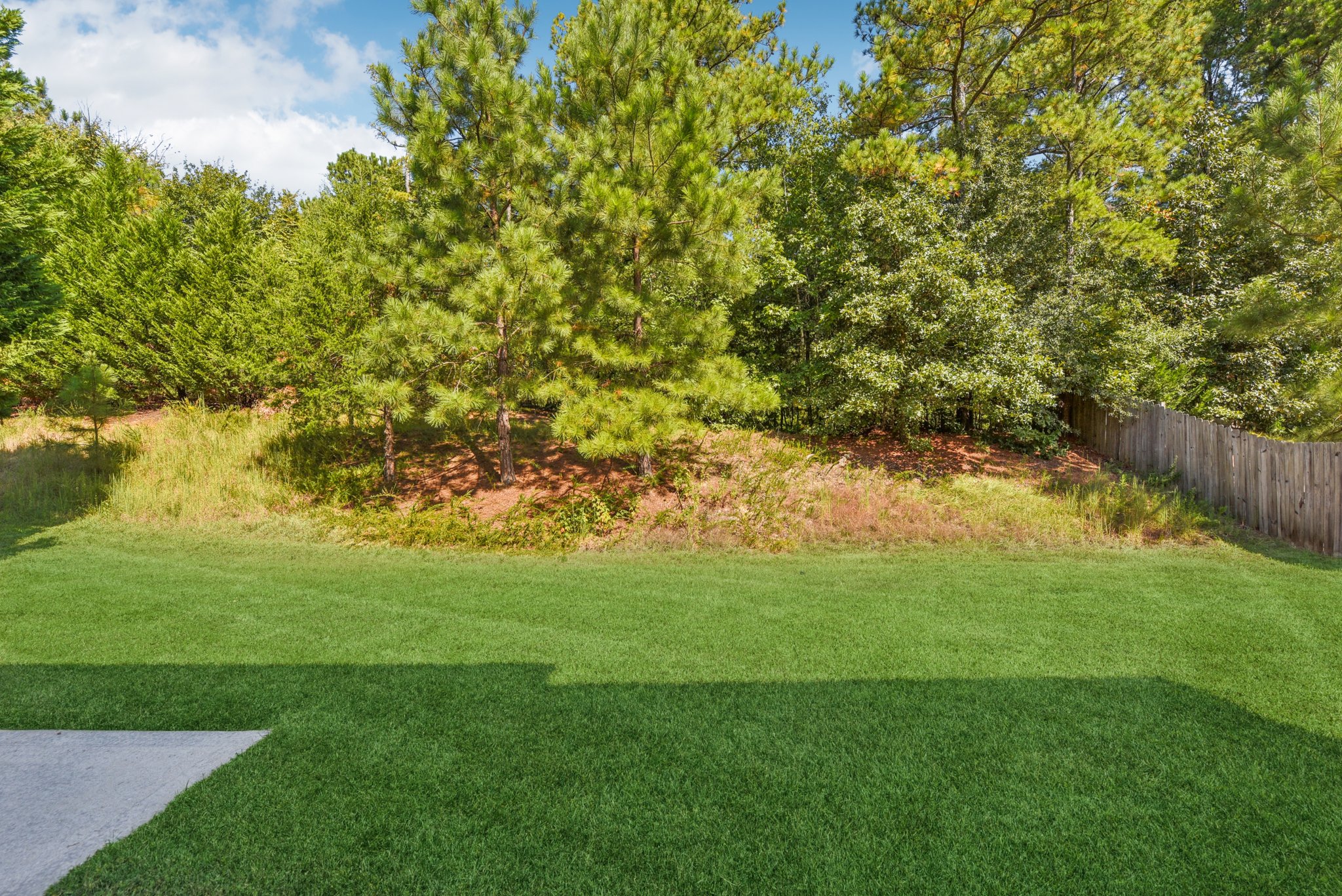 Pine Bluff Way-L1909-038.jpg