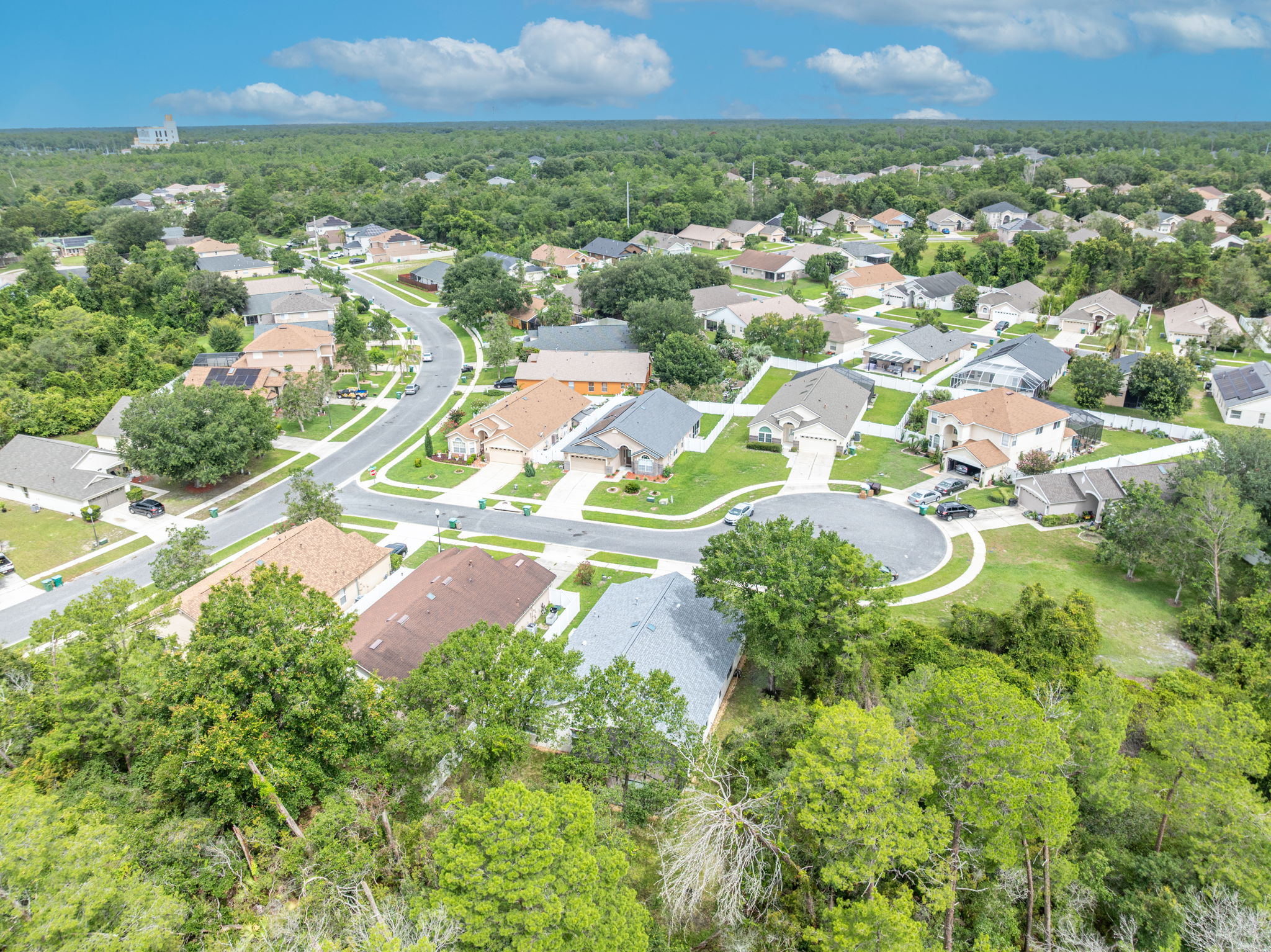  Photo 55