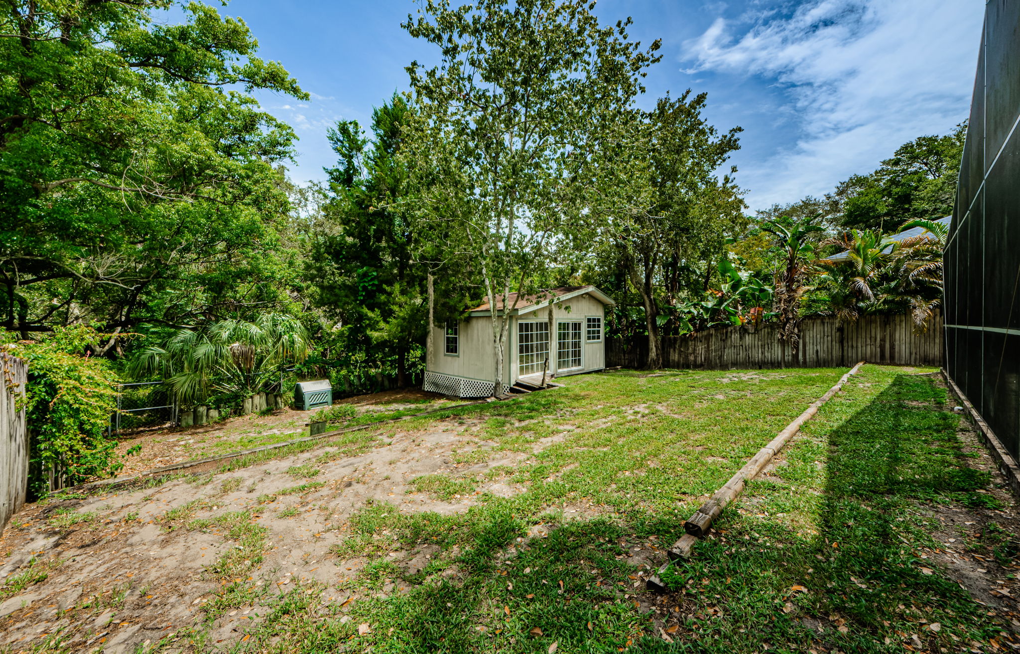 Backyard 2