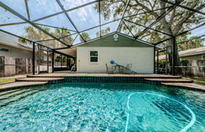 Pool 3