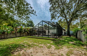 Backyard 4