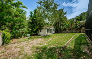 Backyard 2