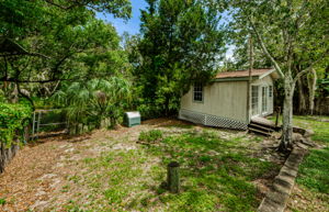 Backyard 3