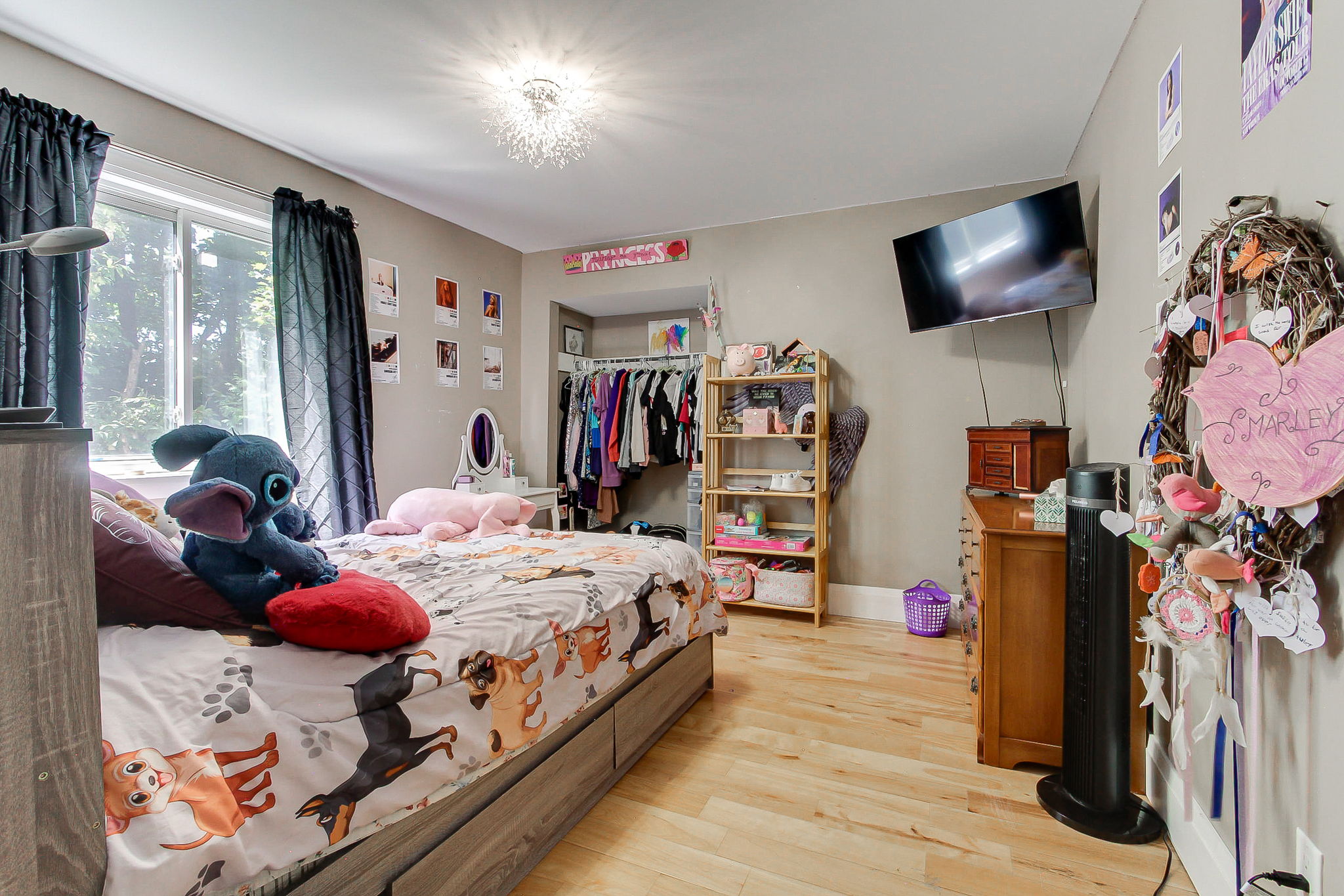  Photo 42