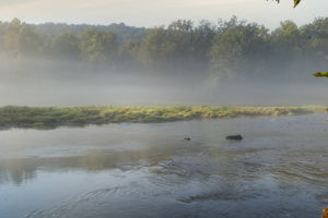  Photo 201