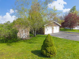  Photo 47