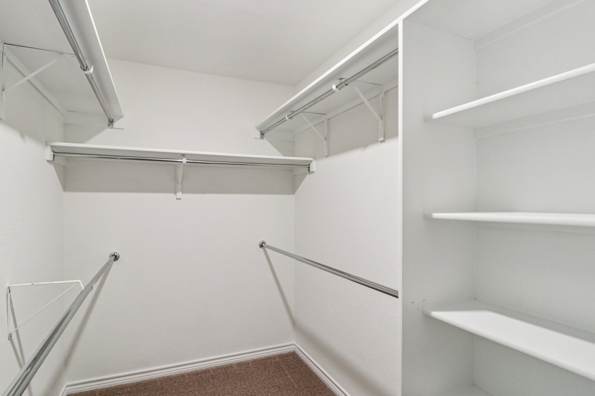 Saddle Leaf-S1701-043.jpg