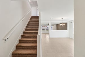 Saddle Leaf-S1701-008.jpg