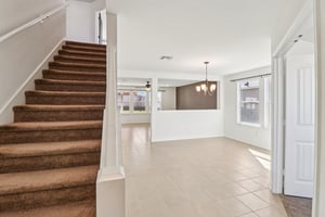 Saddle Leaf-S1701-009.jpg