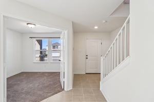 Saddle Leaf-S1701-010.jpg