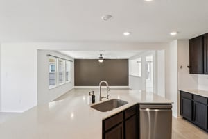 Saddle Leaf-S1701-024.jpg