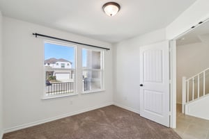 Saddle Leaf-S1701-027.jpg