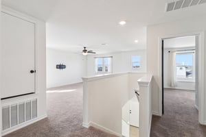 Saddle Leaf-S1701-030.jpg