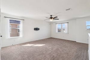 Saddle Leaf-S1701-031.jpg