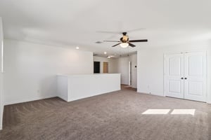 Saddle Leaf-S1701-032.jpg