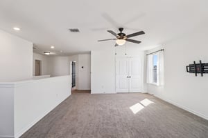 Saddle Leaf-S1701-033.jpg