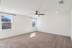 Saddle Leaf-S1701-034.jpg