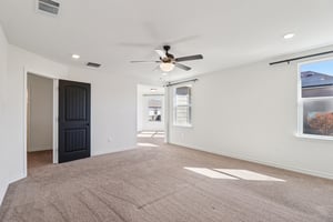 Saddle Leaf-S1701-035.jpg