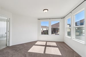 Saddle Leaf-S1701-037.jpg