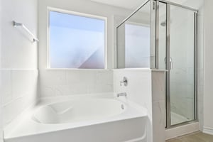 Saddle Leaf-S1701-041.jpg