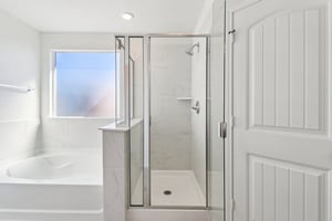 Saddle Leaf-S1701-042.jpg