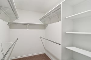 Saddle Leaf-S1701-043.jpg