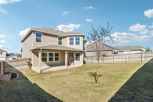 Saddle Leaf-S1701-047.jpg