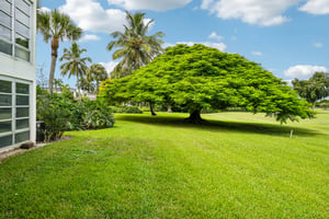 Saint Andrews Blvd D5-S3009-029.jpg