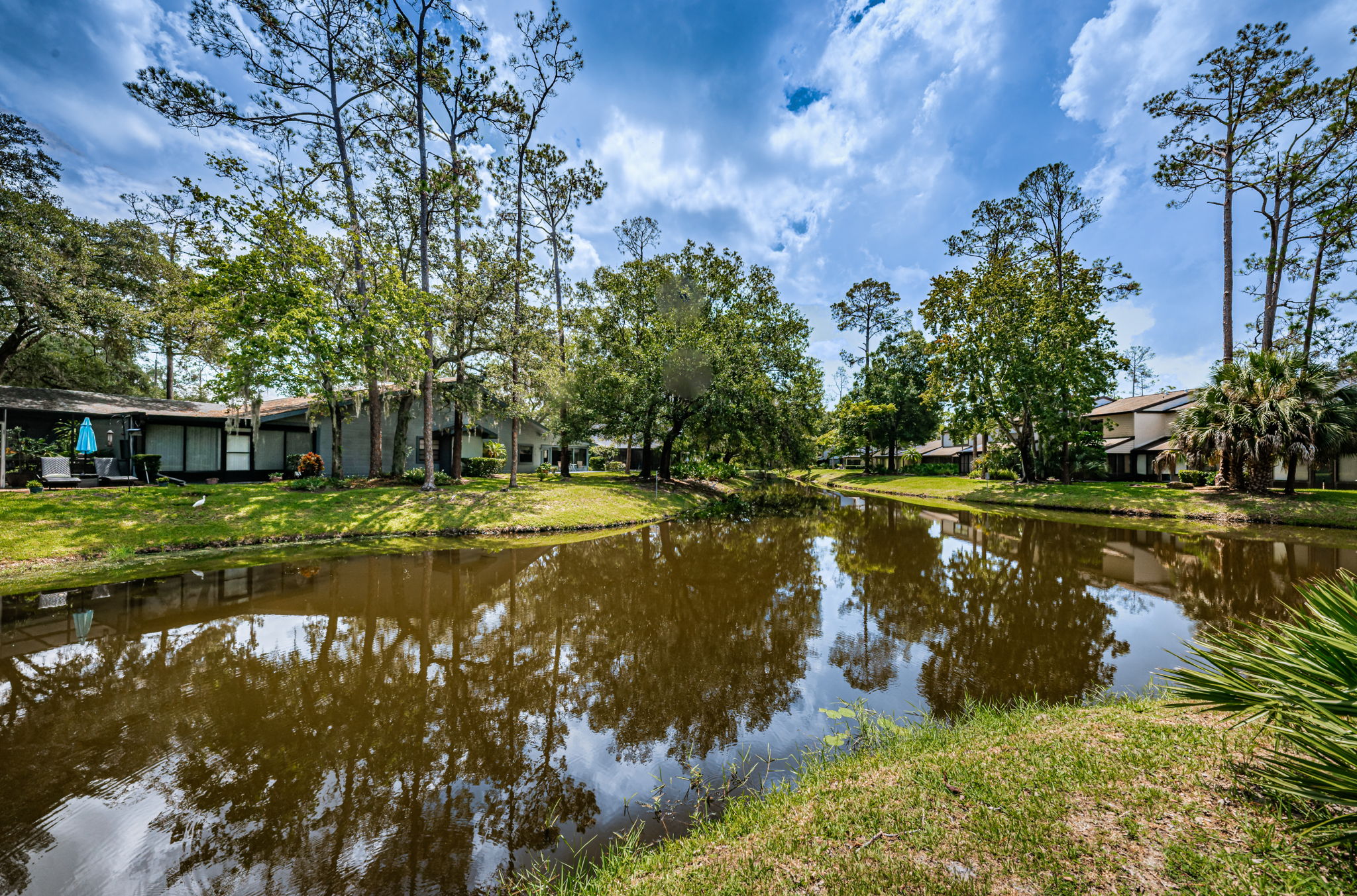 Backyard4