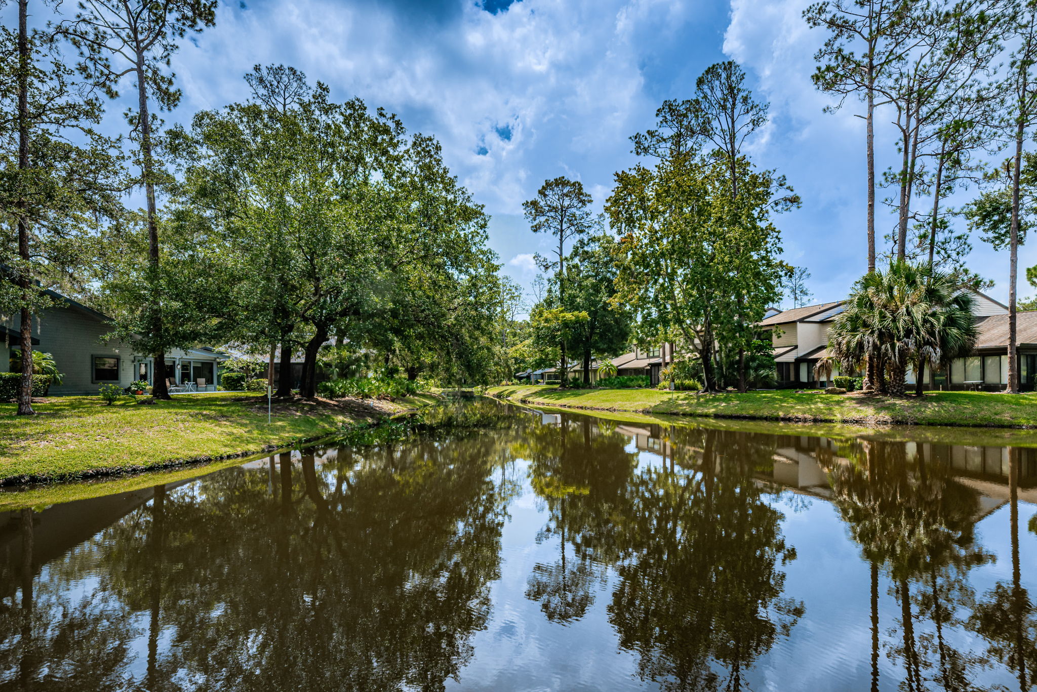 Water View1