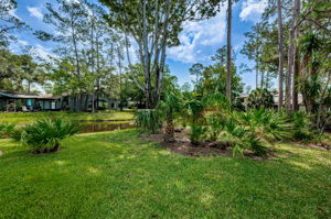 Backyard3