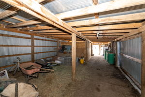  Photo 51