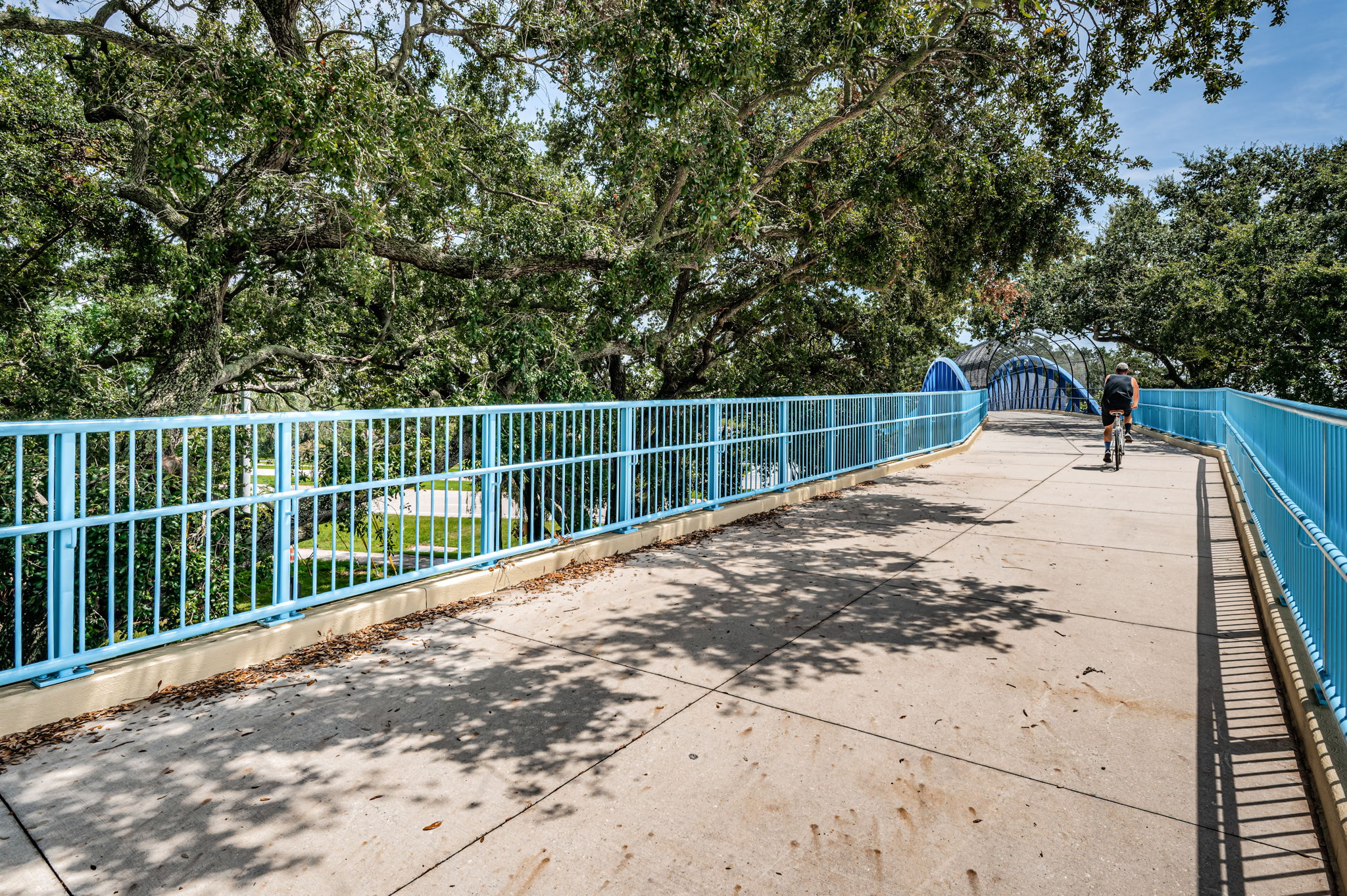 40-Ream Wilson Recreation Trail