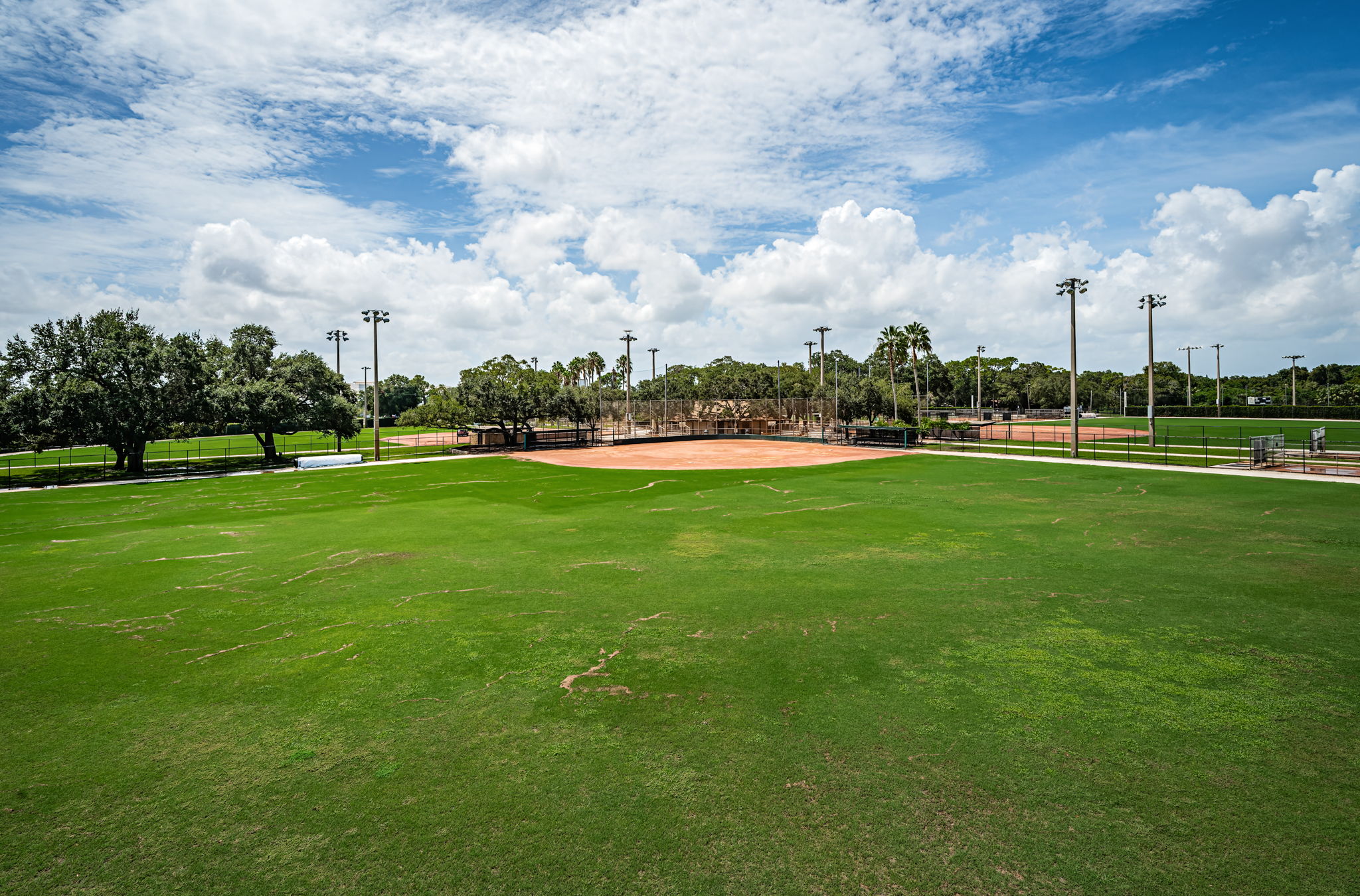 46-Eddie C Moore Fields