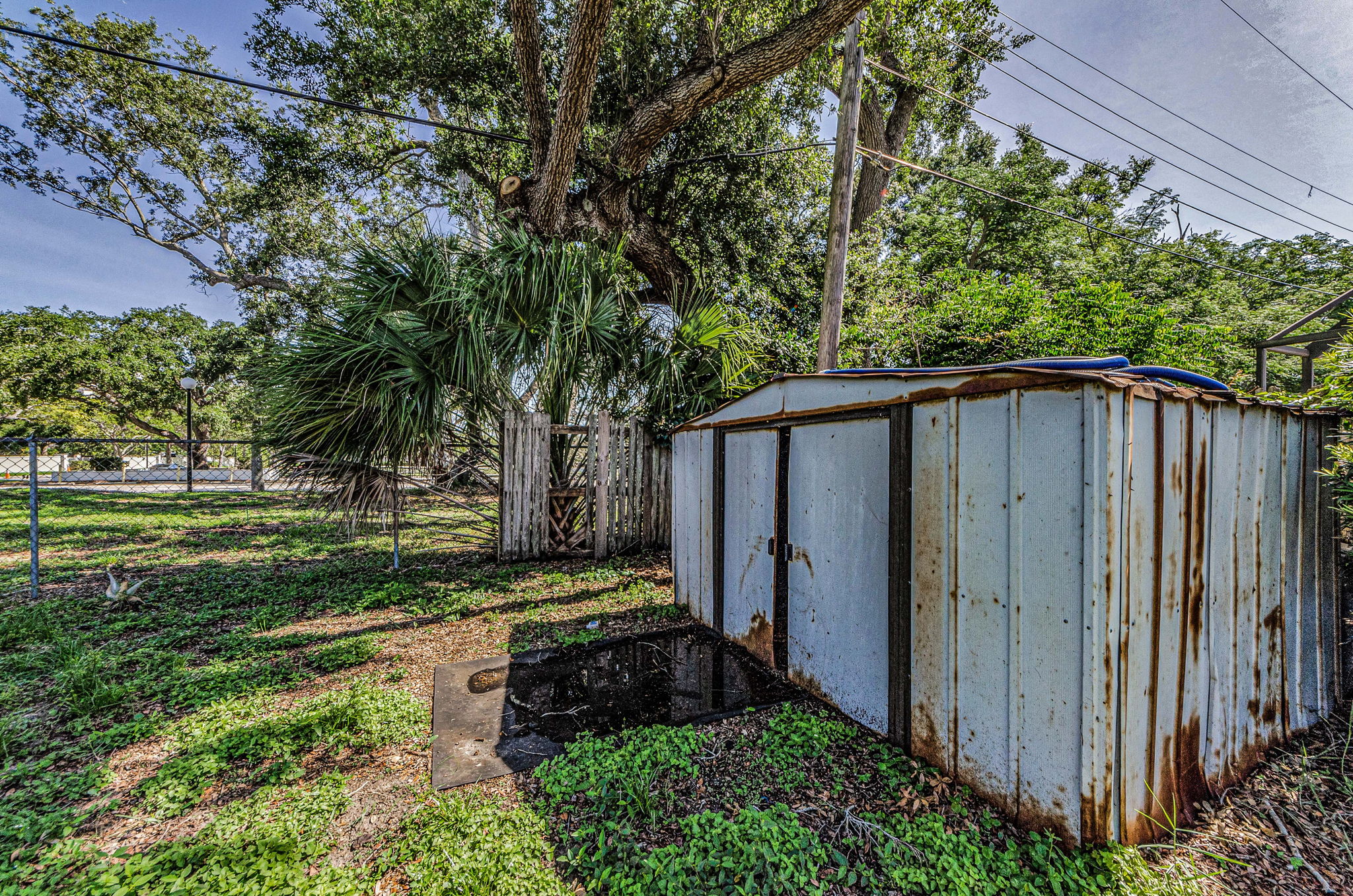 Shed 1