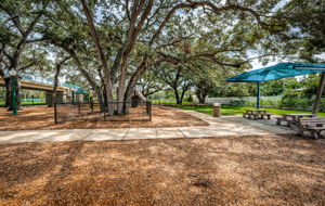 9-Park