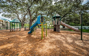 10-Park