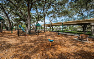 11-Park