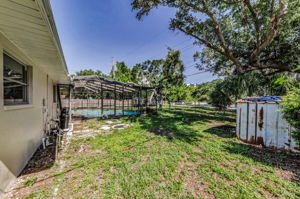 Backyard 1