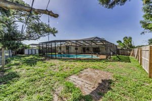 Backyard 3