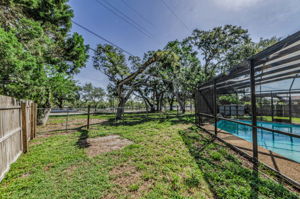 Backyard 4